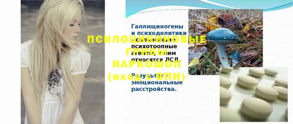 твердый Алексин