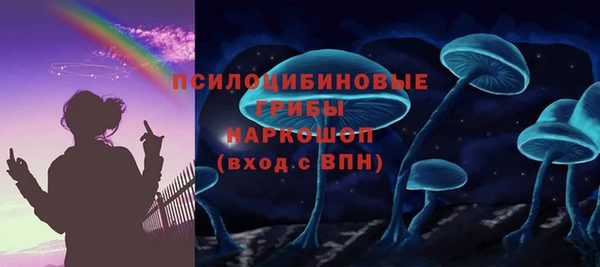 твердый Алексин
