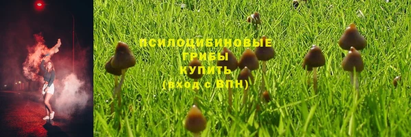 твердый Алексин