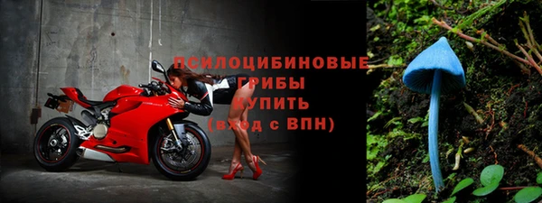 твердый Алексин