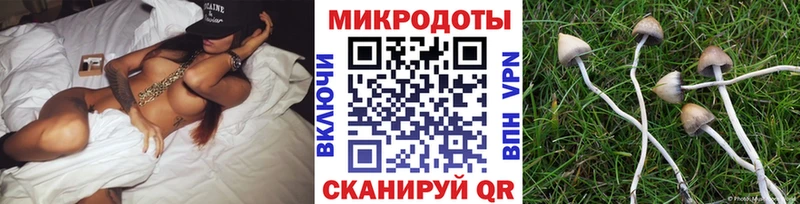 hydra ССЫЛКА  Лабинск  Галлюциногенные грибы Magic Shrooms 